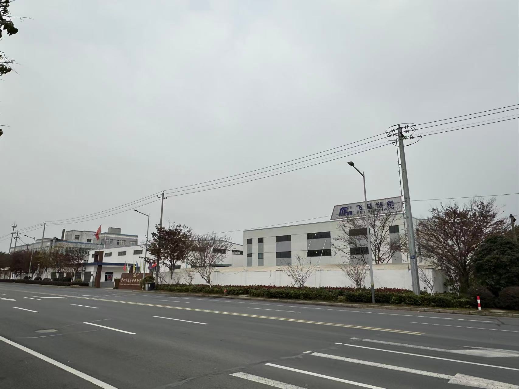 Chain|Sprocket|Conveyor Chain--Changzhou Feima Chain Transmission Co., Ltd.