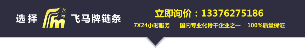 Changzhou Feima Chain Transmission Co., Ltd. Chain|Sprocket|Conveyor Chain--Changzhou Feima Chain Transmission Co., Ltd.